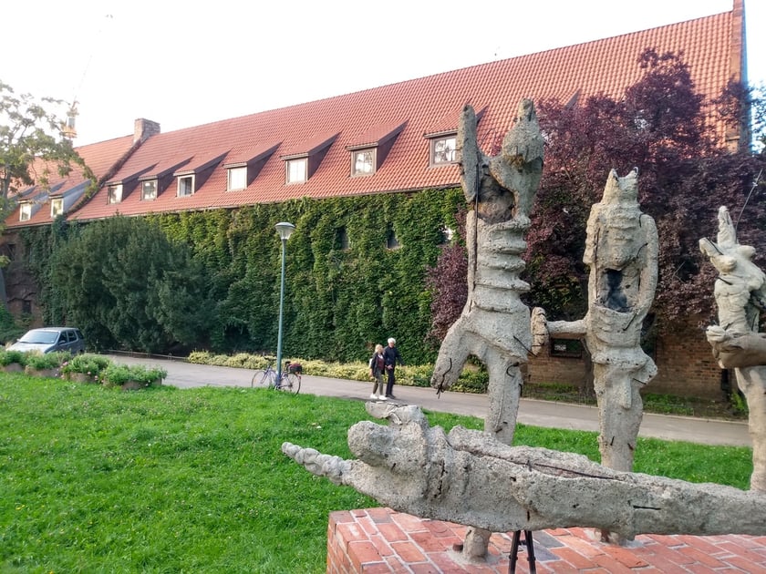 Na zdjęciu zabytkowy budynek Muzeum Architektury we Wrocławiu przy ul. Bernardyńskiej 5. Porasta go imponujących rozmiarów winobluszcz. Roślina zmienia kolory w zależności od pory roku. Wiosną i latem jej liście są zielone, jesienią czerwone, a na zimę zrzuca liście i prezentuje pnącza przyczepione do ściany.