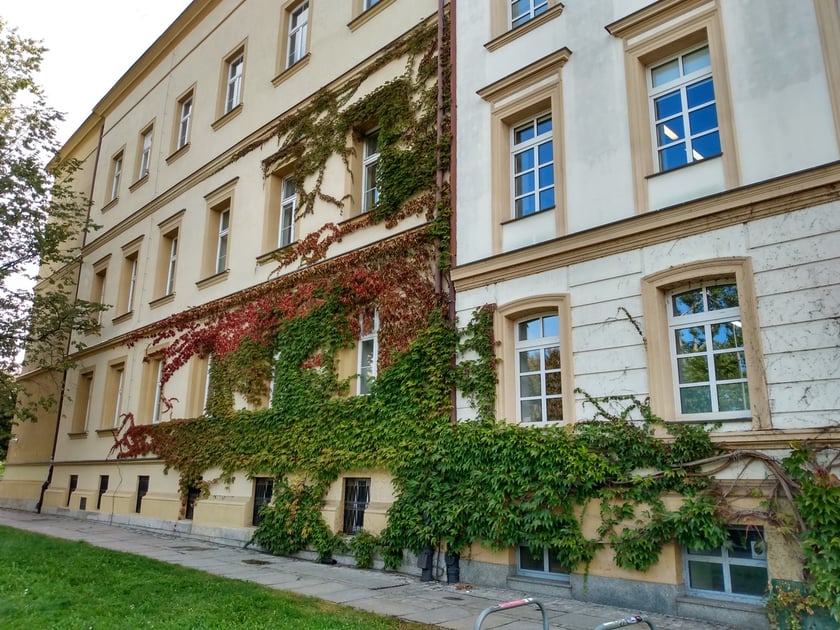 Na zdjęciu Wydział Malarstwa i Rzeźby Akademii Sztuk Pięknych przy pl. Polskim 3/4. Budynek stopniowo zarasta winobluszczem.