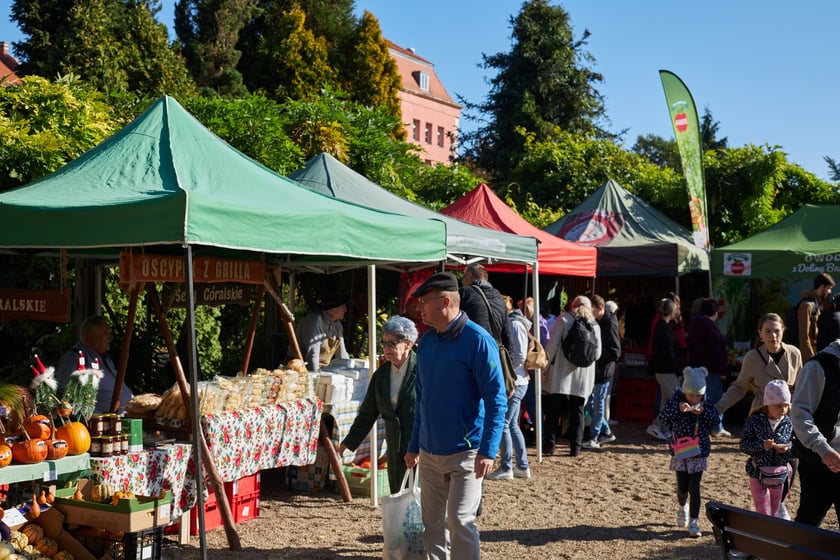 Dolnośląski Festiwal Dyni 2022 w Ogrodzie Botanicznym ? działo się!