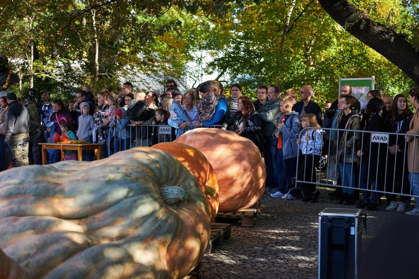 Dolnośląski Festiwal Dyni 2022 w Ogrodzie Botanicznym ? działo się!