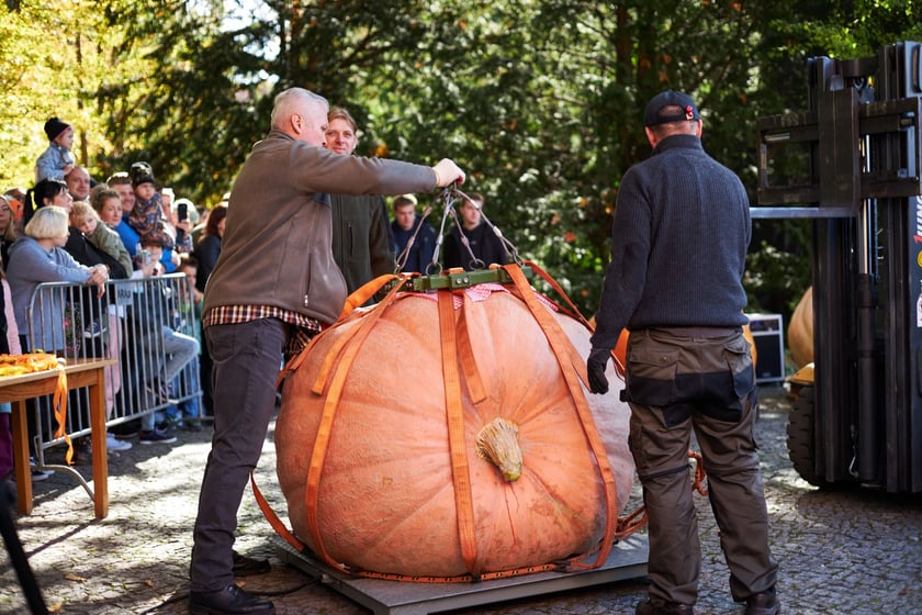 Dolnośląski Festiwal Dyni 2022 w Ogrodzie Botanicznym ? działo się!