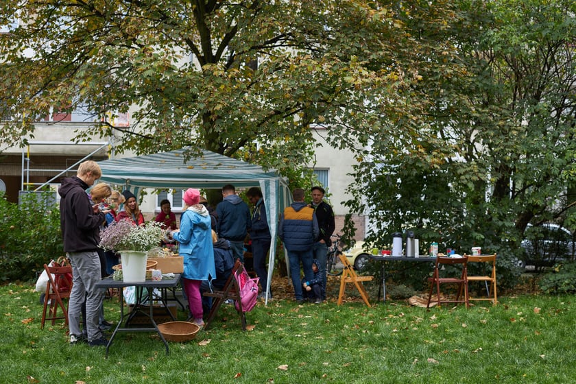 Projekt Grow Green. Warsztaty ogrodnicze, florystyczne, zabawy dla dzieci na osiedlu Ołbin