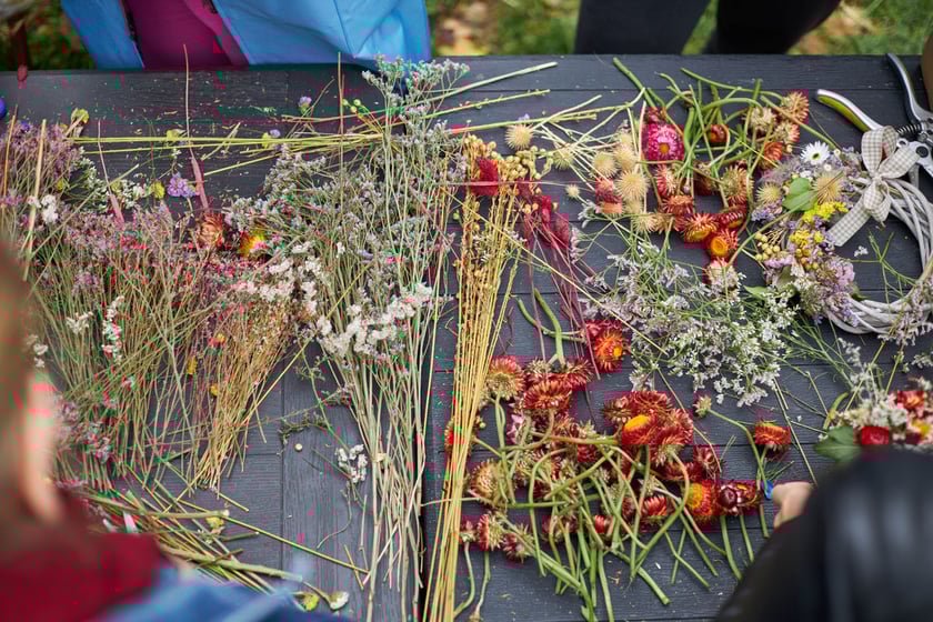 Projekt Grow Green. Warsztaty ogrodnicze, florystyczne, zabawy dla dzieci na osiedlu Ołbin