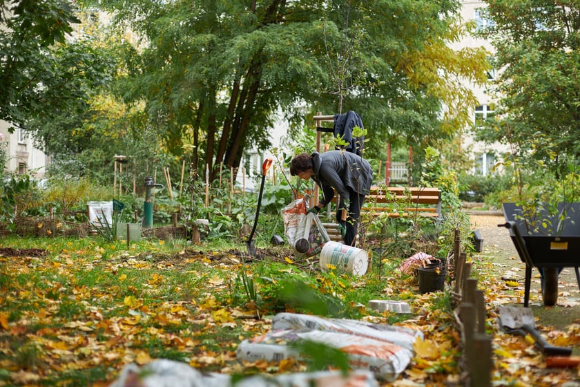 Projekt Grow Green. Warsztaty ogrodnicze, florystyczne, zabawy dla dzieci na osiedlu Ołbin