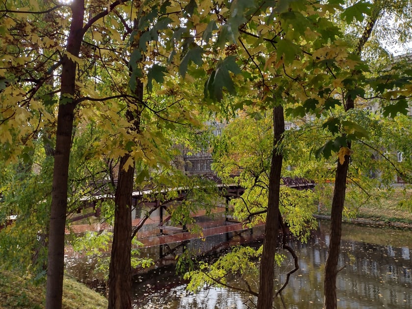 Zamknięty most Św. Antoniego nad fosą miejską w centrum Wrocławia