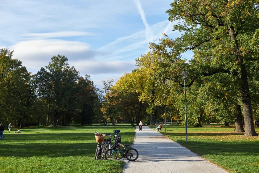 Park Kleciński we Wrocławiu