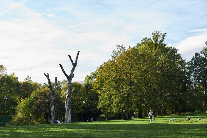 Park Kleciński we Wrocławiu