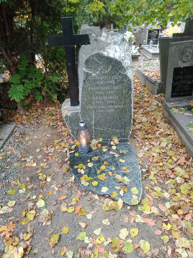 Nagrobki na wrocławskich cmentarzach