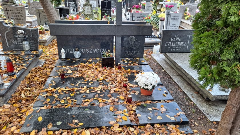 Wojciech hrabia Dzieduszycki, artysta, dziennikarz, spoczywa na cmentarzu przy ul. Bujwida
