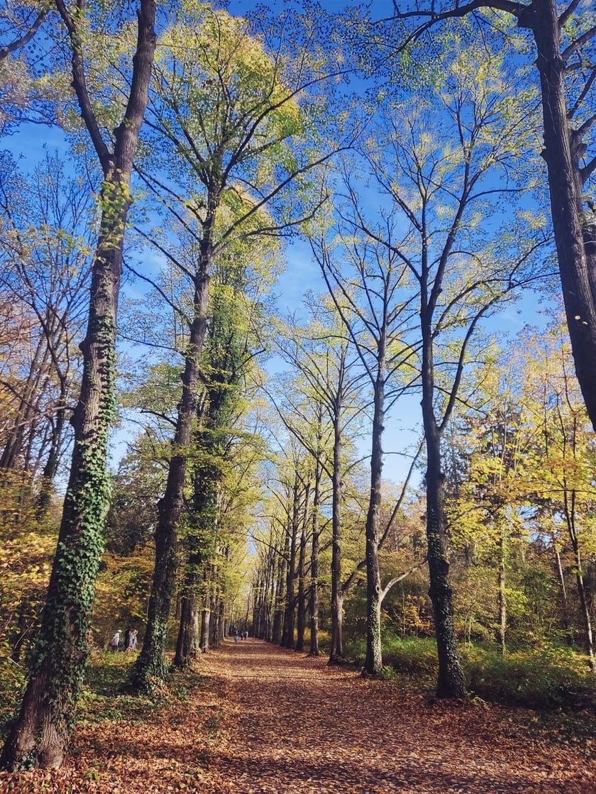 Park Grabiszyński