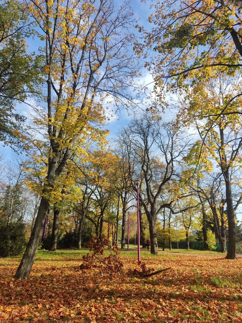 Park Andersa, gdzie kiedyś znajdowały się 4 cmentarze
