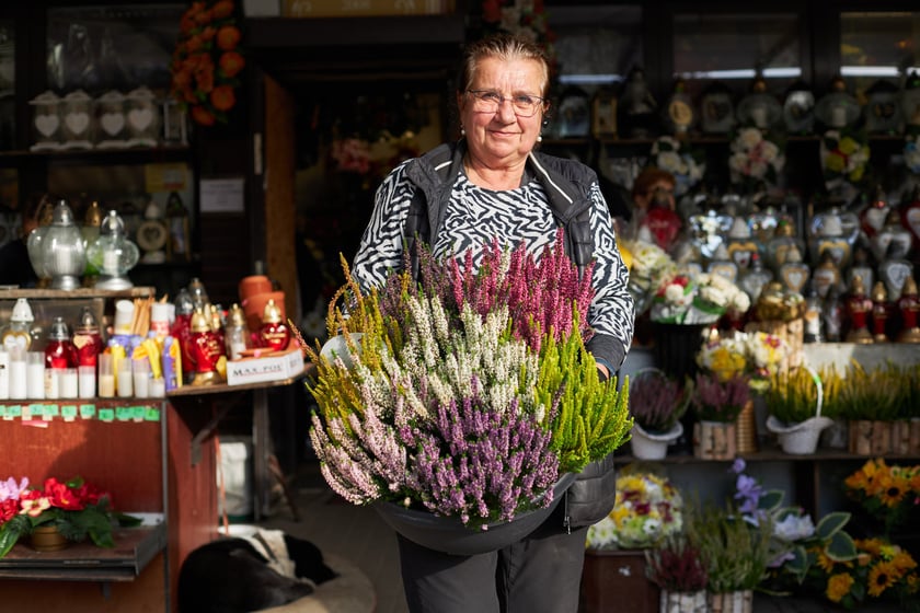 Cmentarz Osobowicki we Wrocławiu Wszystkich Świętych 2022
