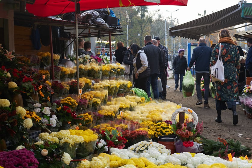 Cmentarz Osobowicki we Wrocławiu Wszystkich Świętych 2022