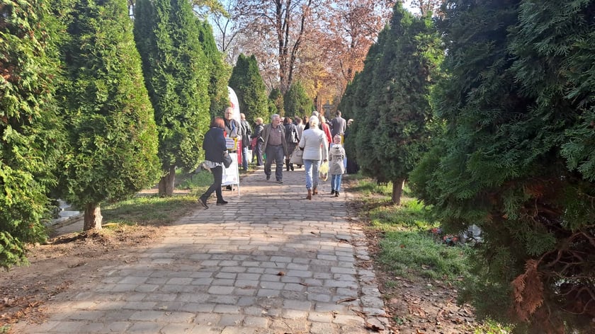 Cmentarz św. Wawrzyńca przy ul. Bujwida  we Wrocławiu Wszystkich Świętych 2022