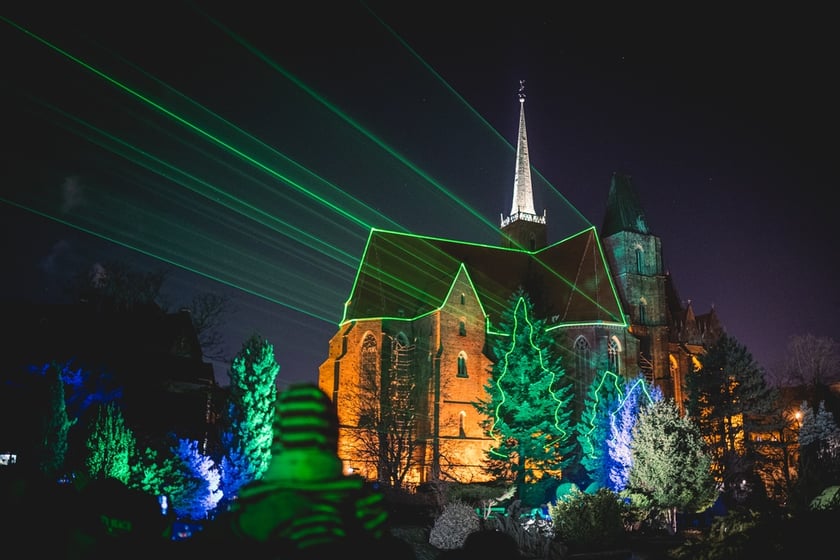 Na zdjęciu iluminacja Ogrodu Botanicznego we Wrocławiu w poprzednich latach