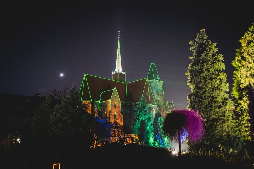 Na zdjęciu iluminacja Ogrodu Botanicznego we Wrocławiu w poprzednich latach