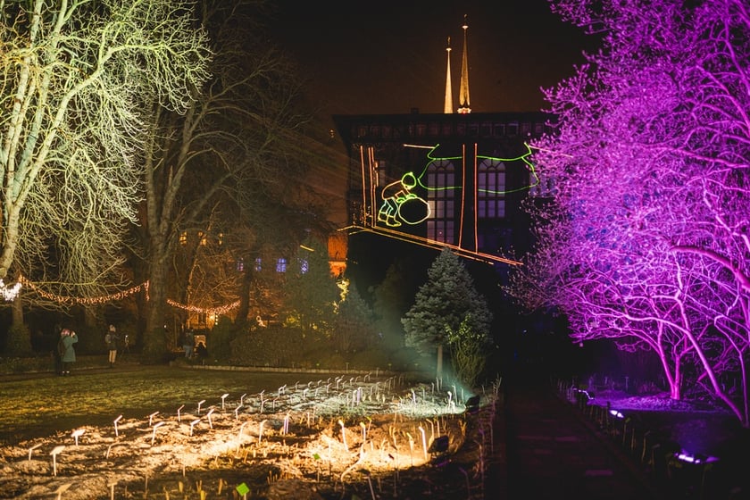 Na zdjęciu iluminacja Ogrodu Botanicznego we Wrocławiu w poprzednich latach