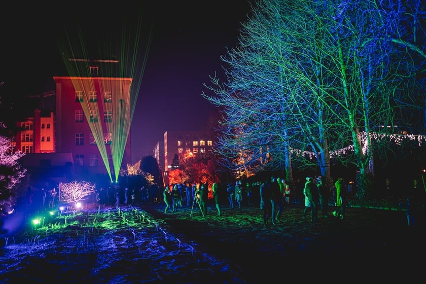 Na zdjęciu iluminacja Ogrodu Botanicznego we Wrocławiu w poprzednich latach