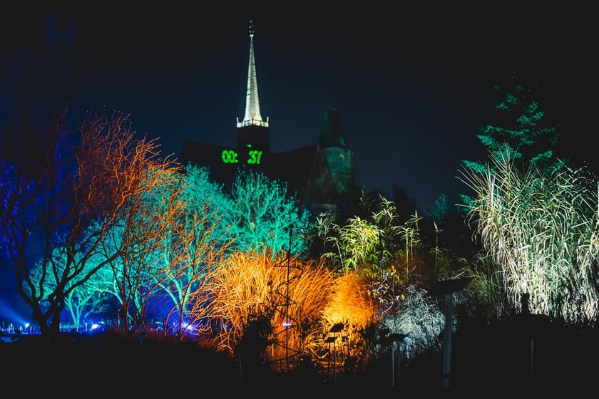 Na zdjęciu iluminacja Ogrodu Botanicznego we Wrocławiu w poprzednich latach