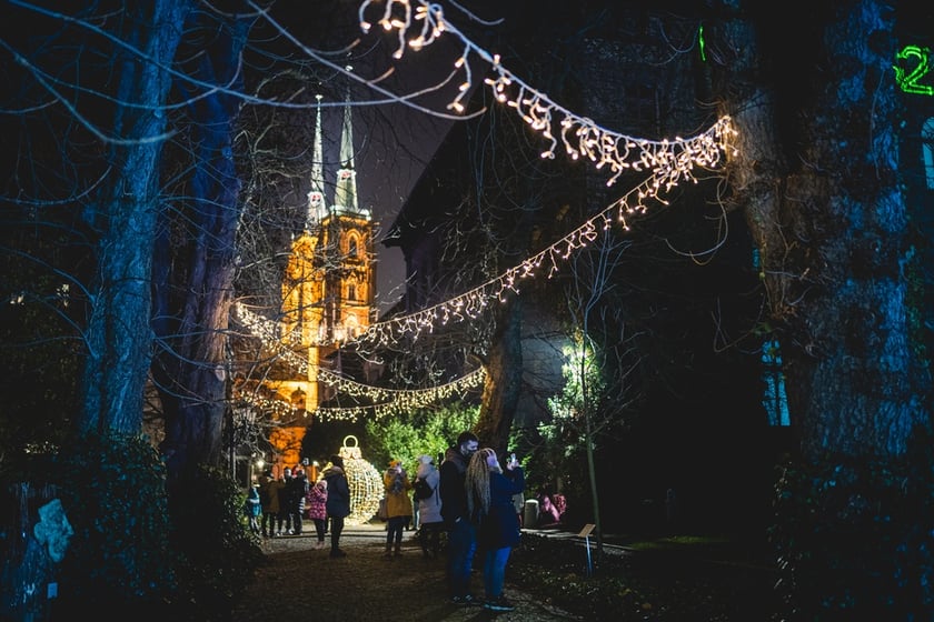 Na zdjęciu iluminacja Ogrodu Botanicznego we Wrocławiu w poprzednich latach