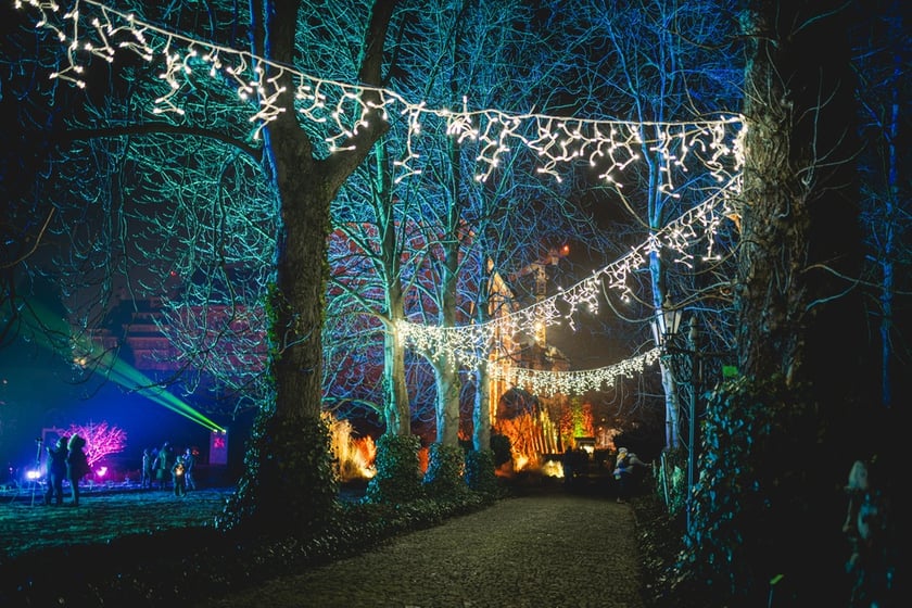 Na zdjęciu iluminacja Ogrodu Botanicznego we Wrocławiu w poprzednich latach