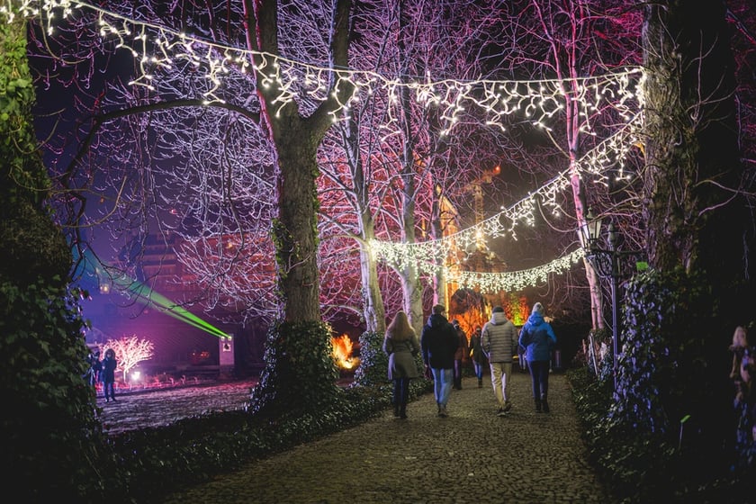 Na zdjęciu iluminacja Ogrodu Botanicznego we Wrocławiu w poprzednich latach