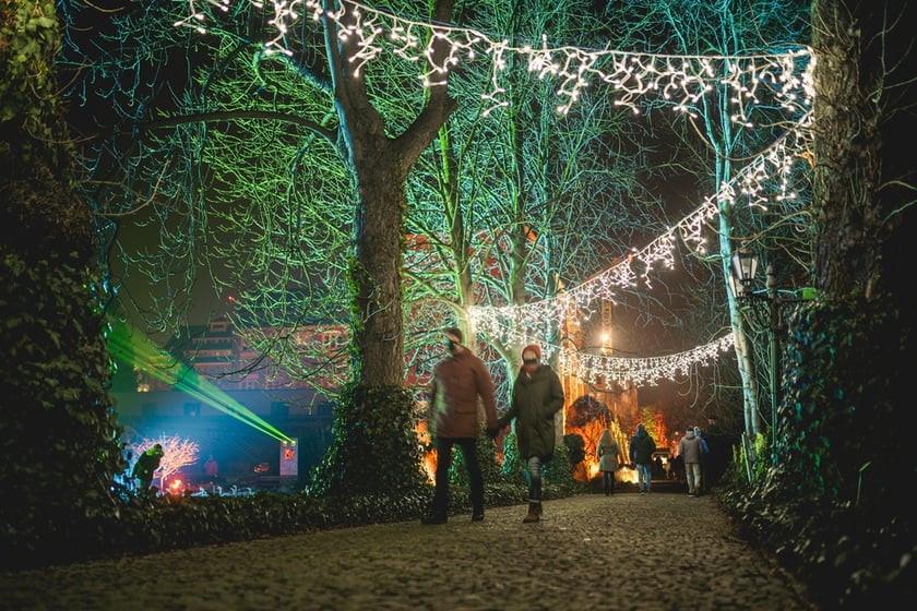 Na zdjęciu iluminacja Ogrodu Botanicznego we Wrocławiu w poprzednich latach