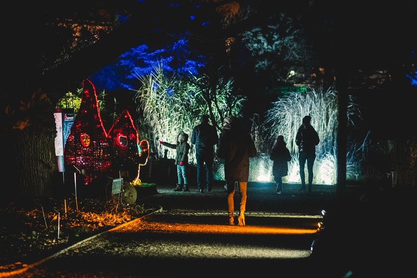 Na zdjęciu iluminacja Ogrodu Botanicznego we Wrocławiu w poprzednich latach