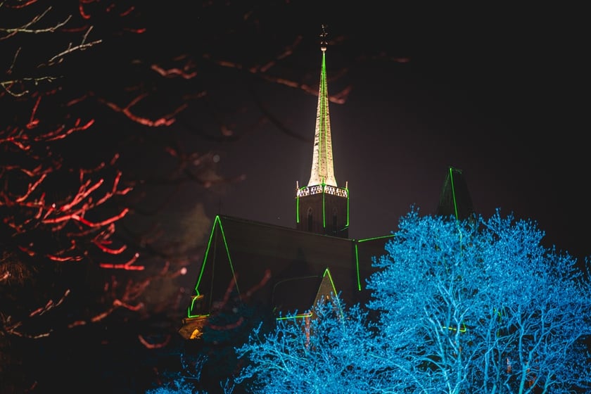 Na zdjęciu iluminacja Ogrodu Botanicznego we Wrocławiu w poprzednich latach