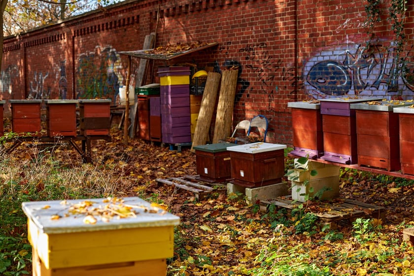 Klasztor franciszkanów na Karłowicach we Wrocławiu