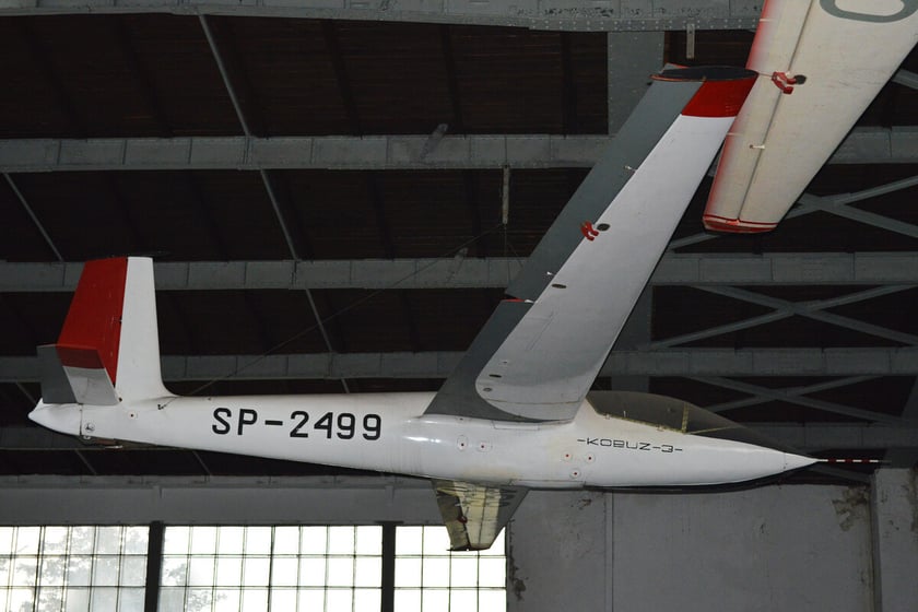 SZD-21B Kobuz 3 był jednomiejscowym, drewnianym szybowcem akrobacyjnym. Jego prototyp został zbudowany i oblatany w 1964 roku we Wrocławiu. Łącznie w ZSLS powstało 30 szybowców seryjnych i 2 prototypy. To jeden z najrzadszych polskich szybowców. Nie był produkowany nigdzie poza Wrocławiem. Odrestaurowane egzemplarze znajdują się w zbiorach Muzeum Lotnictwa w Krakowie oraz Aeroklubu Gliwickiego.