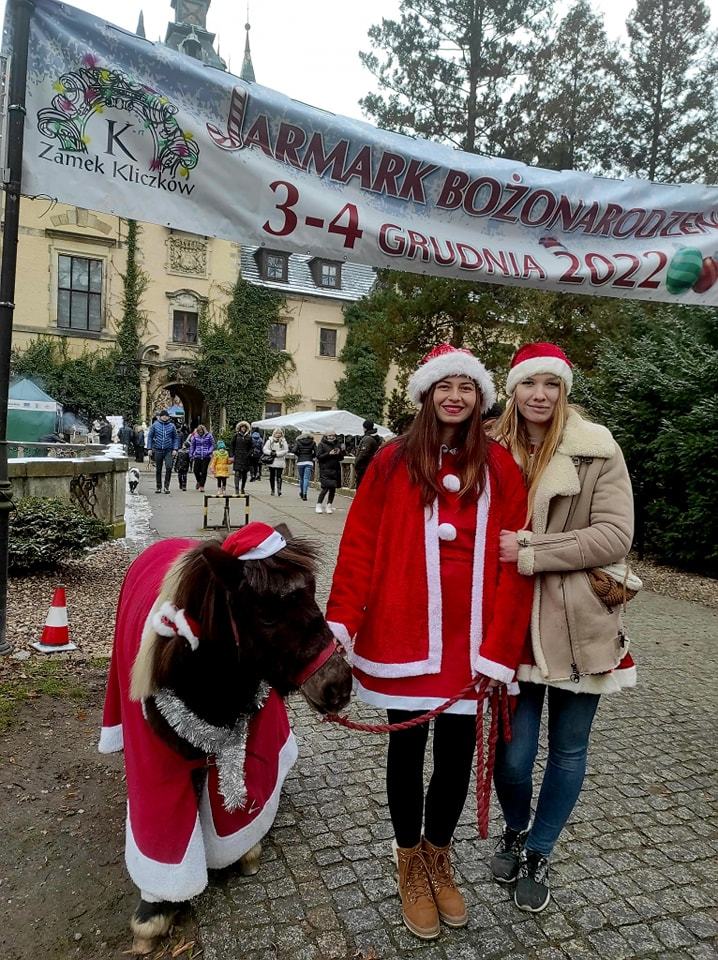 Zakończony jarmark bożonarodzeniowy w Kliczkowie