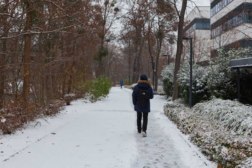 Zima zagościła we Wrocławiu. Właśnie spadł pierwszy śnieg...