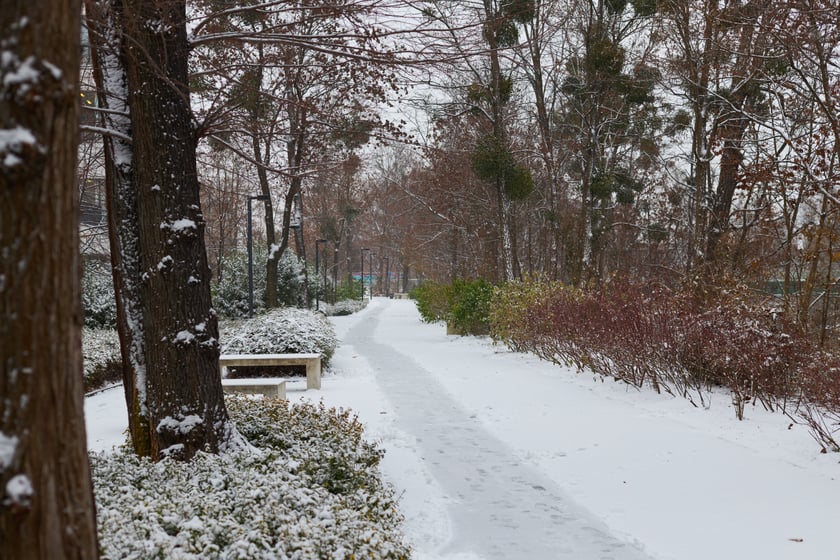 Zima zagościła we Wrocławiu. Właśnie spadł pierwszy śnieg...