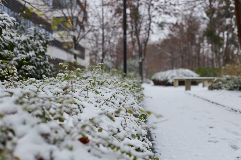 Zima zagościła we Wrocławiu. Właśnie spadł pierwszy śnieg...