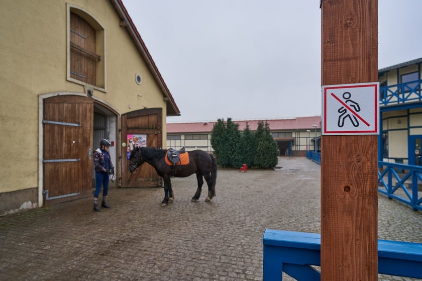 Oznaczenie strefy dla koni, po kt&oacute;rej nie można spacerować. W tle koń i jeździec&nbsp;