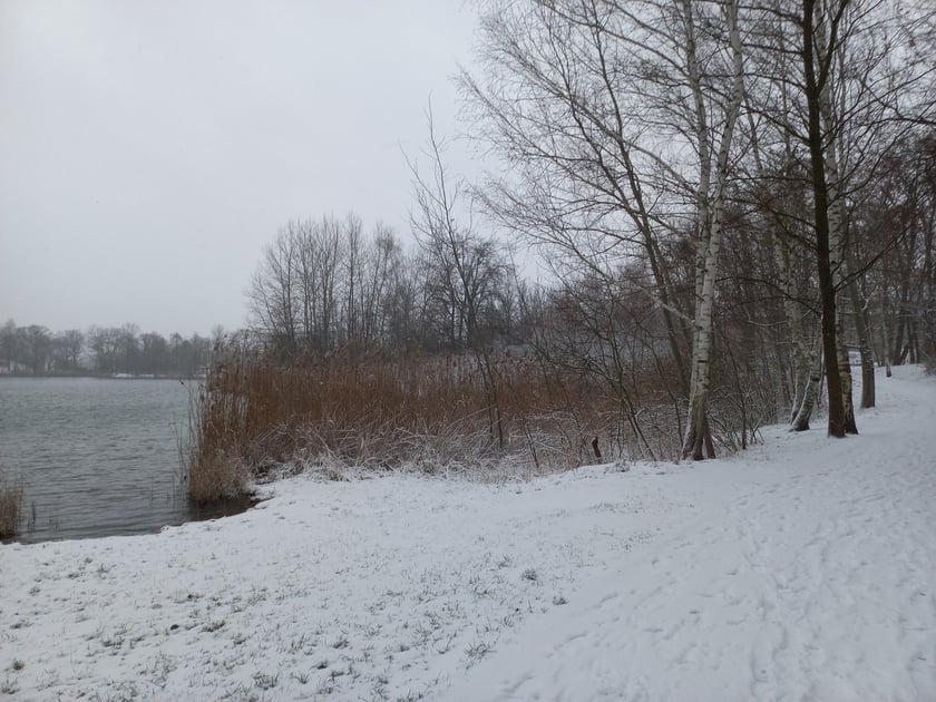 Zima we Wrocławiu. Osiedle Stabłowice w śniegu 21.01.2023