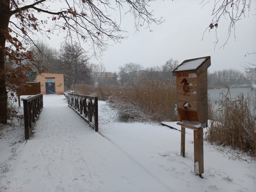 Zima we Wrocławiu. Osiedle Stabłowice w śniegu 21.01.2023