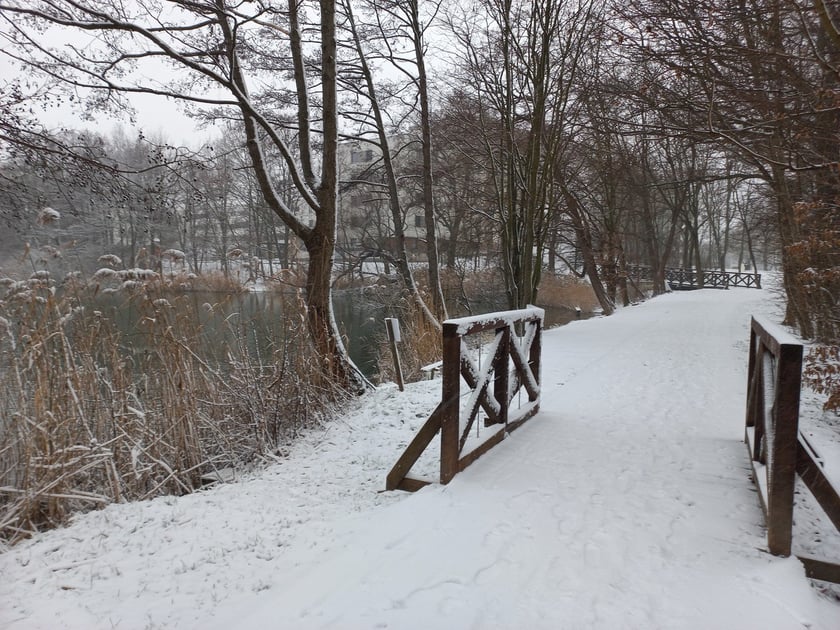 Zima we Wrocławiu. Osiedle Stabłowice w śniegu 21.01.2023
