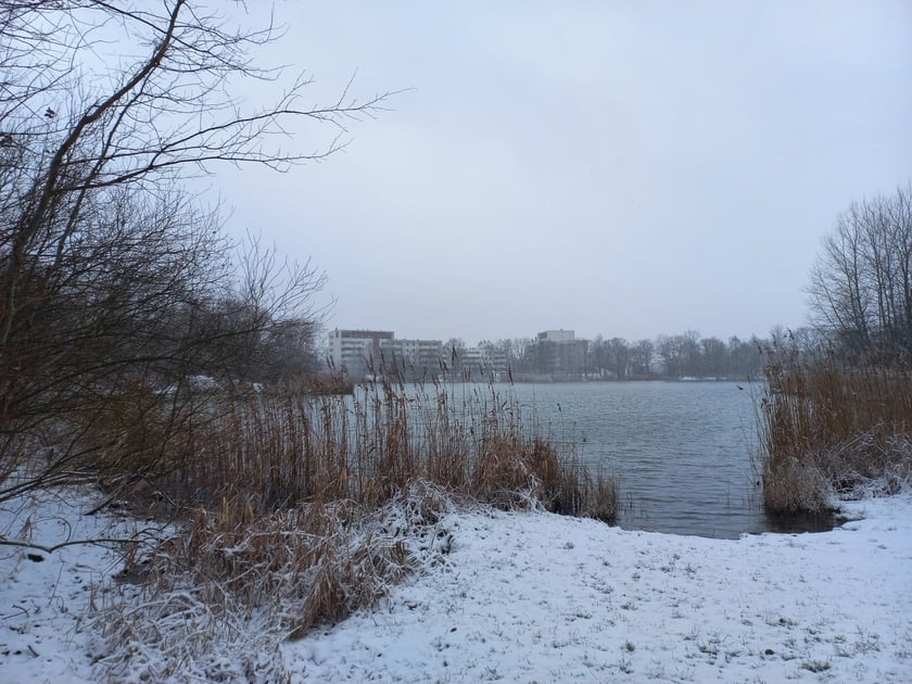 Zima we Wrocławiu. Osiedle Stabłowice w śniegu 21.01.2023