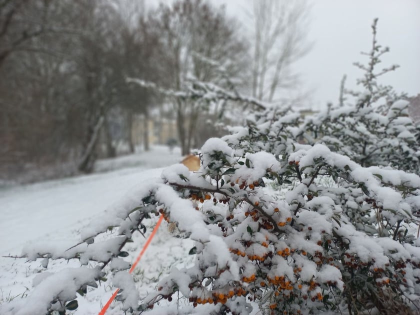 Zima we Wrocławiu. Osiedle Stabłowice w śniegu 21.01.2023
