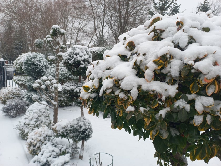 Zima we Wrocławiu. Osiedle Stabłowice w śniegu 21.01.2023