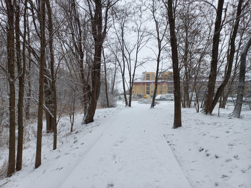 Zima we Wrocławiu. Osiedle Stabłowice w śniegu 21.01.2023