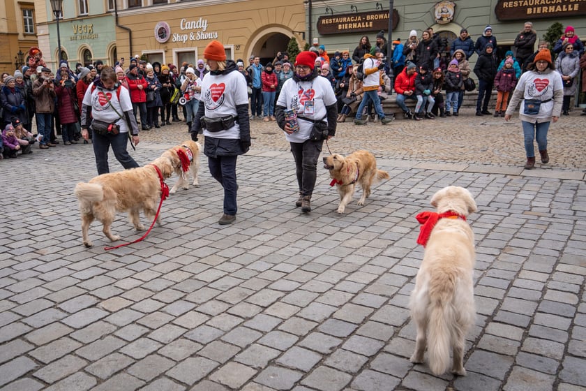 Finał WOŚP we Wrocławiu, 29.01.2023