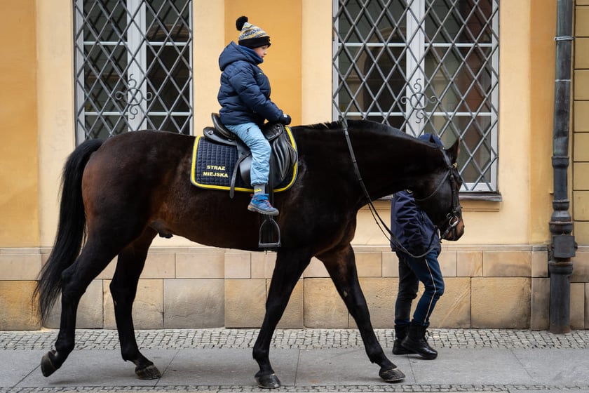 Finał WOŚP we Wrocławiu, 29.01.2023