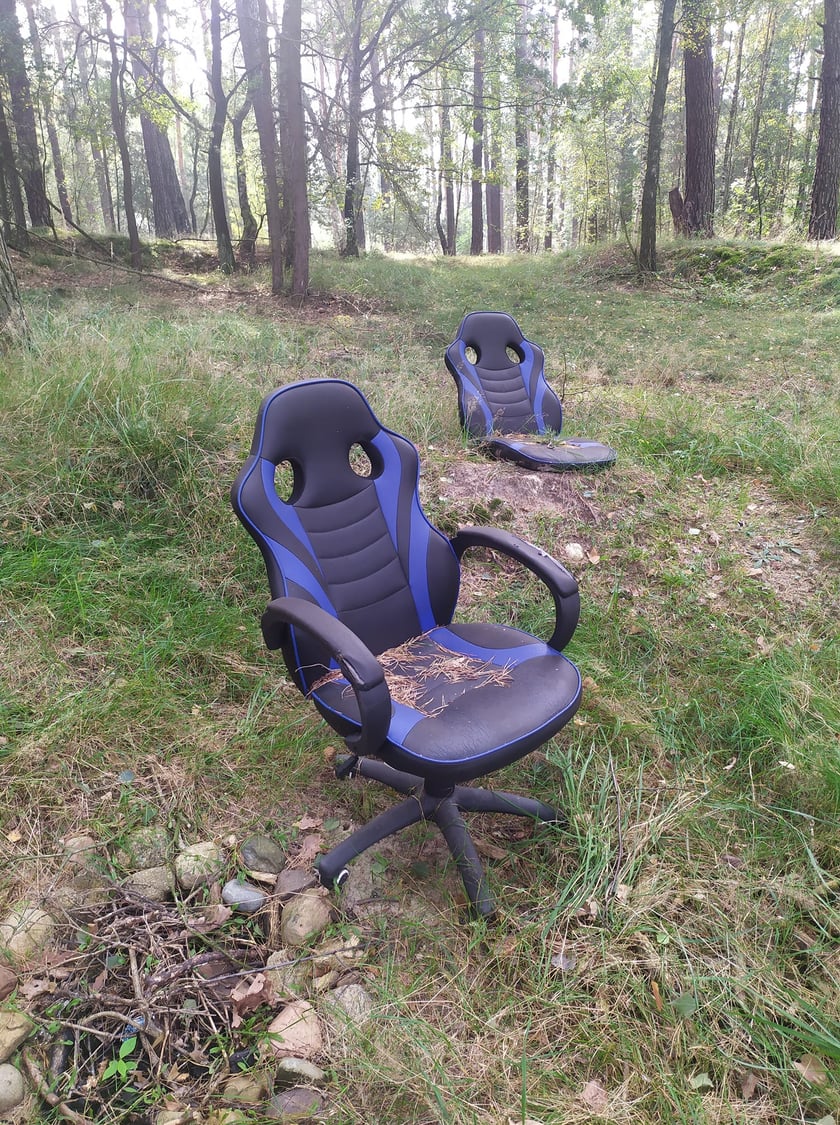 Śmieci porzucone w lasach w okolicy Legnicy