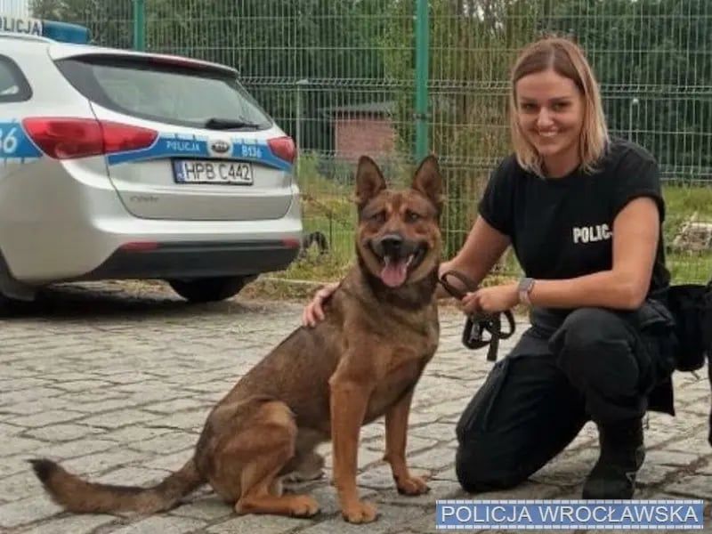 W Komendzie Miejskiej Policji we Wrocławiu, można składać dokumenty w Wydziale Kadr KMP przy ul. Sołtysowickiej 21 od poniedziałku do piątku w godzinach 7:30 &ndash; 15:00. Osoby zainteresowane pełnieniem służby mogą r&oacute;wnież kontaktować się pod nr tel. 47 87 129 62.