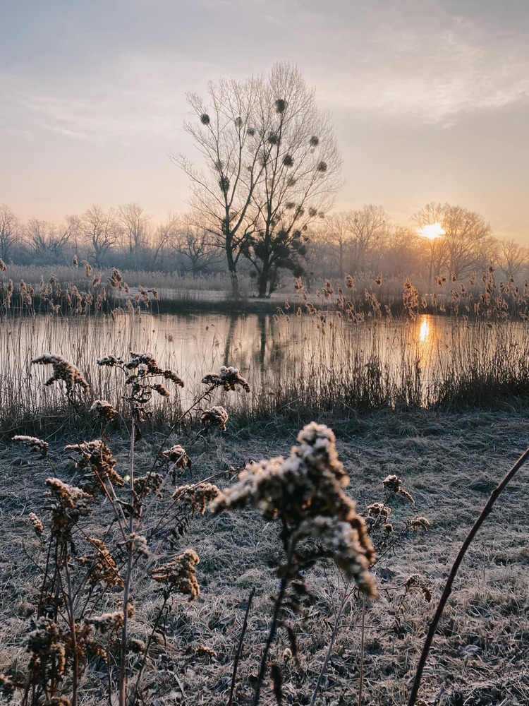 Tereny wodnośne