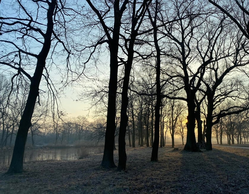 Tereny wodonośne