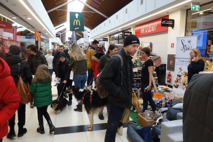 Na zdjęciach Targi PupiLove w Centrum Handlowym Borek, 12.02.2023